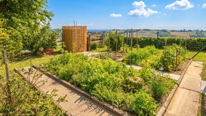 A garden with various plants and a wooden structure. - Podhamer Wellness Vineyard Cottages (Ljutomer)