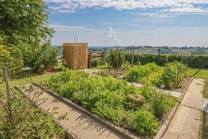 Property grounds - Podhamer Wellness Vineyard Cottages (Ljutomer)