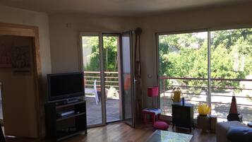 Smart TV, fireplace, books