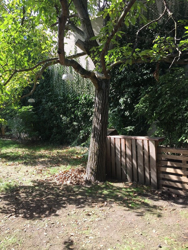 Stroll through a tranquil garden setting surrounded by a mature tree and lush foliage.