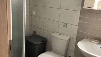 Family House | Bathroom | Shower, hair dryer, towels