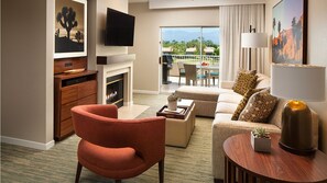 Smart TV, fireplace, video games, computer monitors