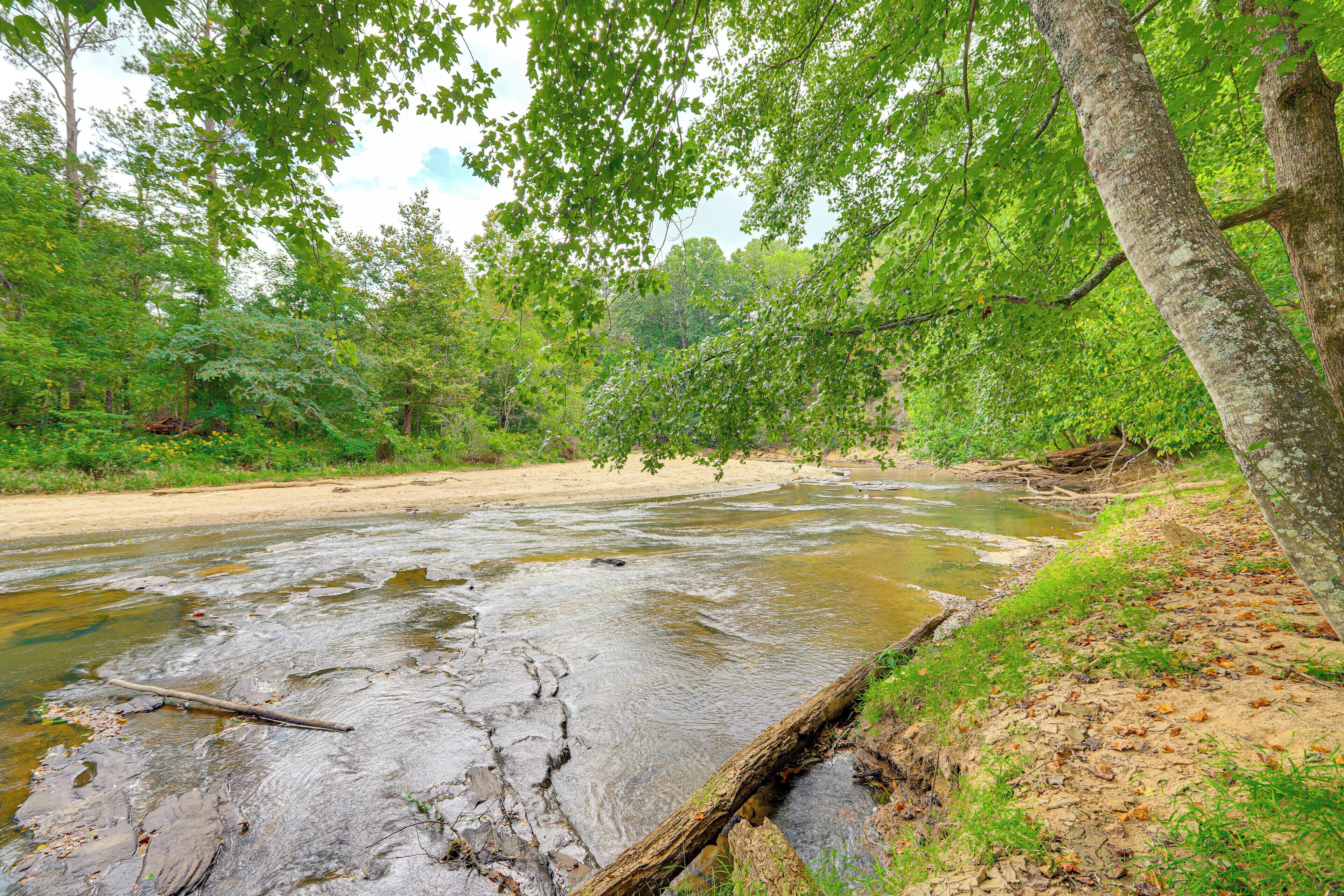 A river flowing through a forested area with a sandy bank and a fallen tree trunk in the water.