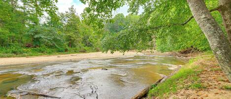 A river flowing through a forested area with a sandy bank and a fallen tree trunk in the water.
