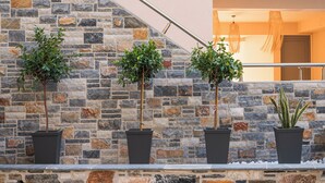 A stone wall with potted plants and a metal railing.