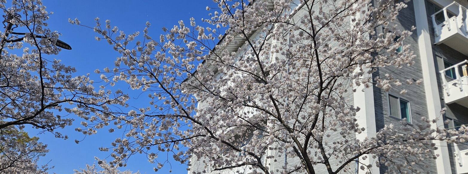 숙박 시설 정면