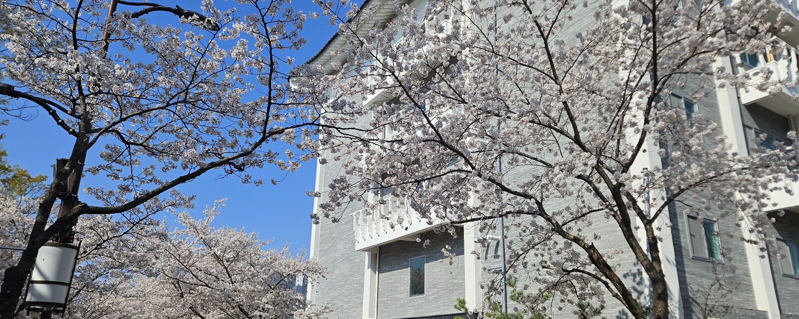 Um edifício com estilo arquitetônico moderno, com teto plano e grandes janelas.