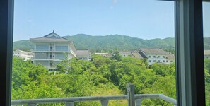 Land view from property
