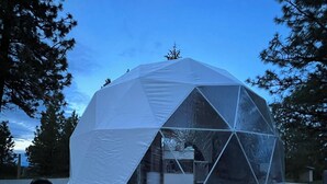 Une structure en forme de dôme géodésique, dotée d’un toit transparent et entourée d’arbres.