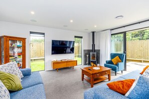 Smart-TV, Kamin