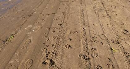 Captivating 2-bed Static Caravan on Private Land