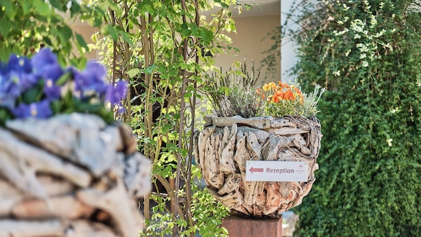 Zona de recepción con señalización que indica el camino a la recepción, rodeada de abundante follaje y diversas plantas.
