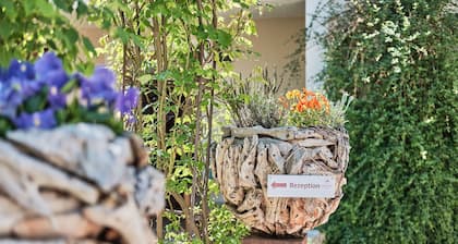 Boutique-hotel am Ledererturm
