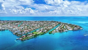 Unclassified image, 3 of 30, button