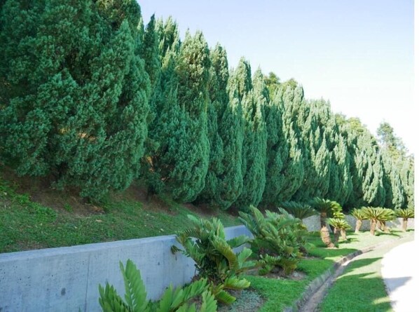 Áreas de la propiedad