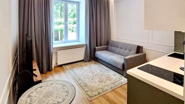 En kompakt opholdsstue med en sofa, et lille spisebord, et tekøkken med komfur og et vindue med gardiner.