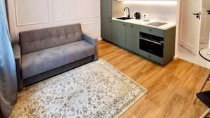 En kompakt opholdsstue med en grå sofa, et mønstret gulvtæppe, et tekøkken med vask og komfur, samt en dør til et andet rum.