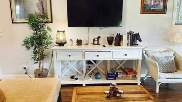 Smart TV y chimenea