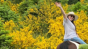 A person riding a horse in a field with yellow flowers. - Cozy Cabin on a small Off Grid Homestead (Shawnigan Lake)