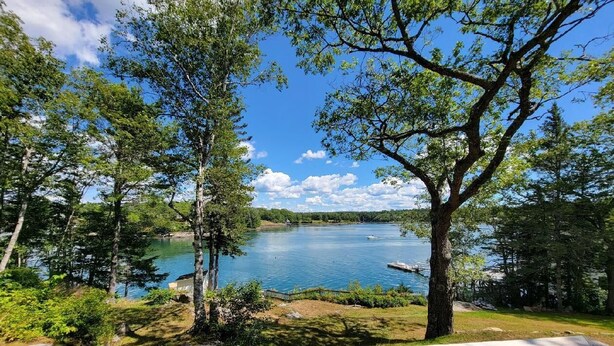 Une vue sur le lac, avec un banc en bois, des arbres et un ciel dégagé.