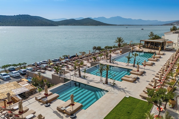 Una piscina al aire libre, sombrillas, sillones reclinables de piscina