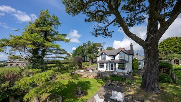 A large house with a spacious garden, a stone patio with chairs, and a large tree in the foreground.