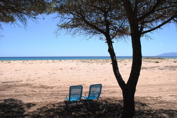 A beach with two blue lounge chairs under a tree, a clear sky, and a distant view of the sea.