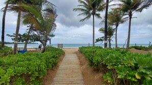 A wooden pathway leading to a beach with palm trees and a bench. - Amazing beachfront apartment on the beach (Río Grande)
