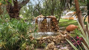 A garden with a small waterfall, surrounded by various plants and trees. - Duplex in Puerto Banus by Costarentals - Ref M40 (Marbella)