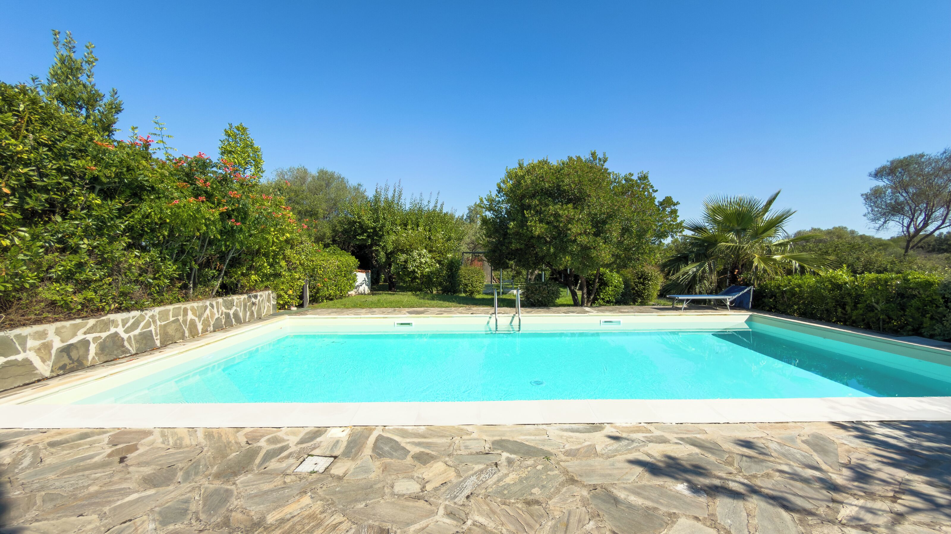 Ein rechteckiger Pool mit Steinrand, umgeben von Grünflächen und Bäumen.