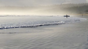 Una playa con una persona cargando una tabla de surf, olas tranquilas y un bosque al fondo.