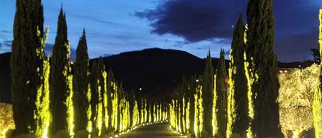 A pathway lined with tall, illuminated trees leading to a mountain in the distance.
