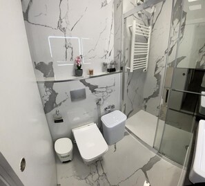 Shower, hair dryer, bidet, towels