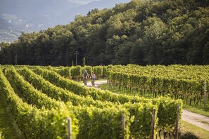 Vista sulla campagna