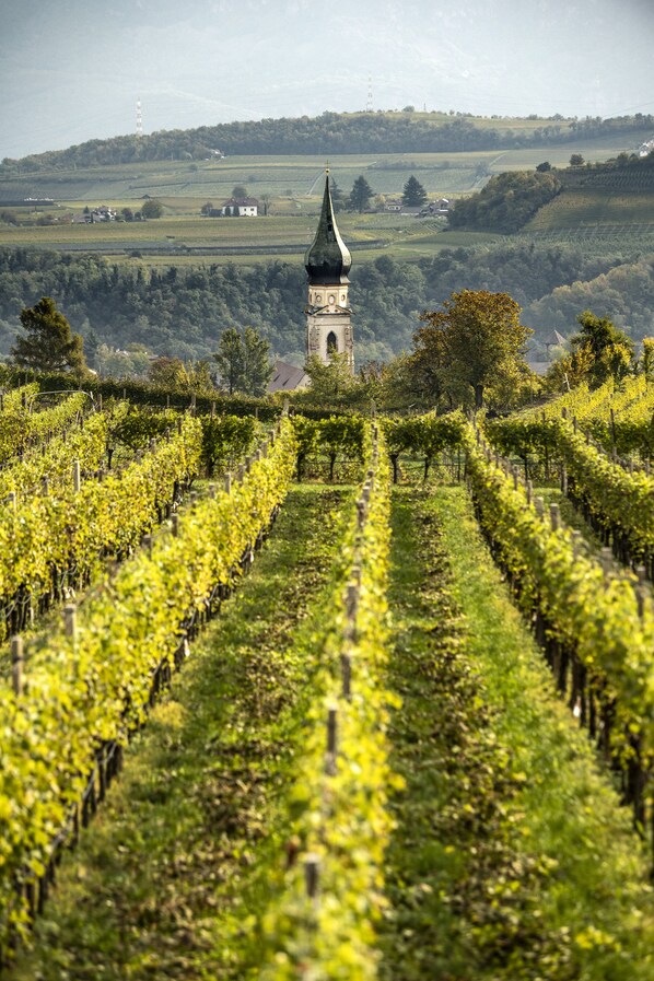 Vista sulla campagna
