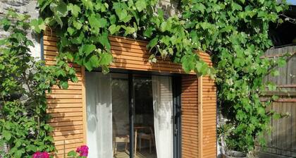 A 15mn du centre d'Angers - Cottage de 28mÂČ - en pleine nature, vue sur l'Ă©tang.