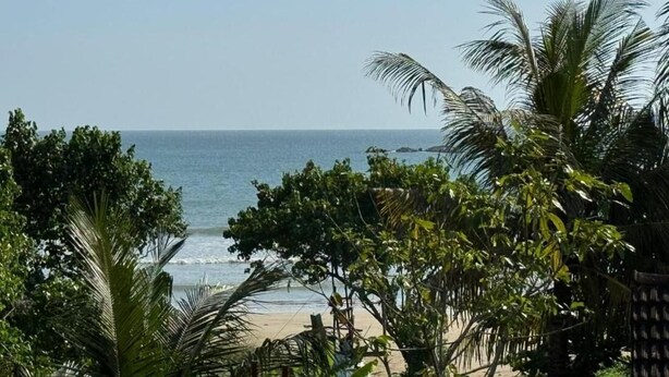 A beach view with palm trees and a clear sky. - Room in Villa - Surf 247 Weligama Hotel (Weligama)