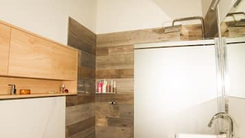 Regadera, secadora de cabello, bidet, toallas