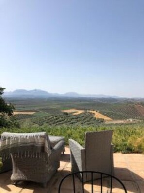 Área da propriedade