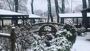 Un giardino innevato con un ponte di legno, alberi e un gazebo.
