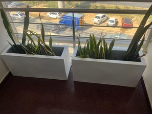 Vistas desde el alojamiento