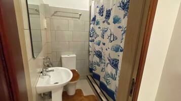 A bathroom with a white sink, a toilet, and a shower curtain with marine life patterns.