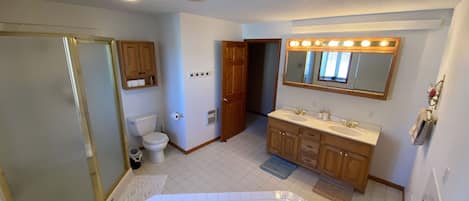 Shower, jetted tub, hair dryer, towels