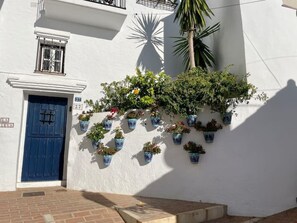 Exterior detail - Apartment with a unique view (Mijas)
