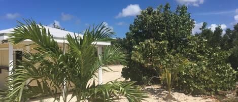 المنطقة المحيطة بالمنشأة