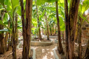 Jardín