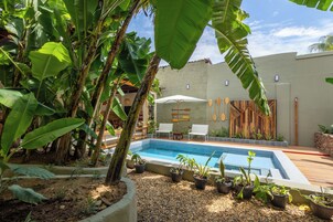 Una piscina rodeada de plantas en macetas y una terraza de madera.
