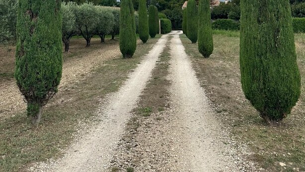 Un sendero de grava bordeado por setos podados, que conduce hacia un edificio a lo lejos.