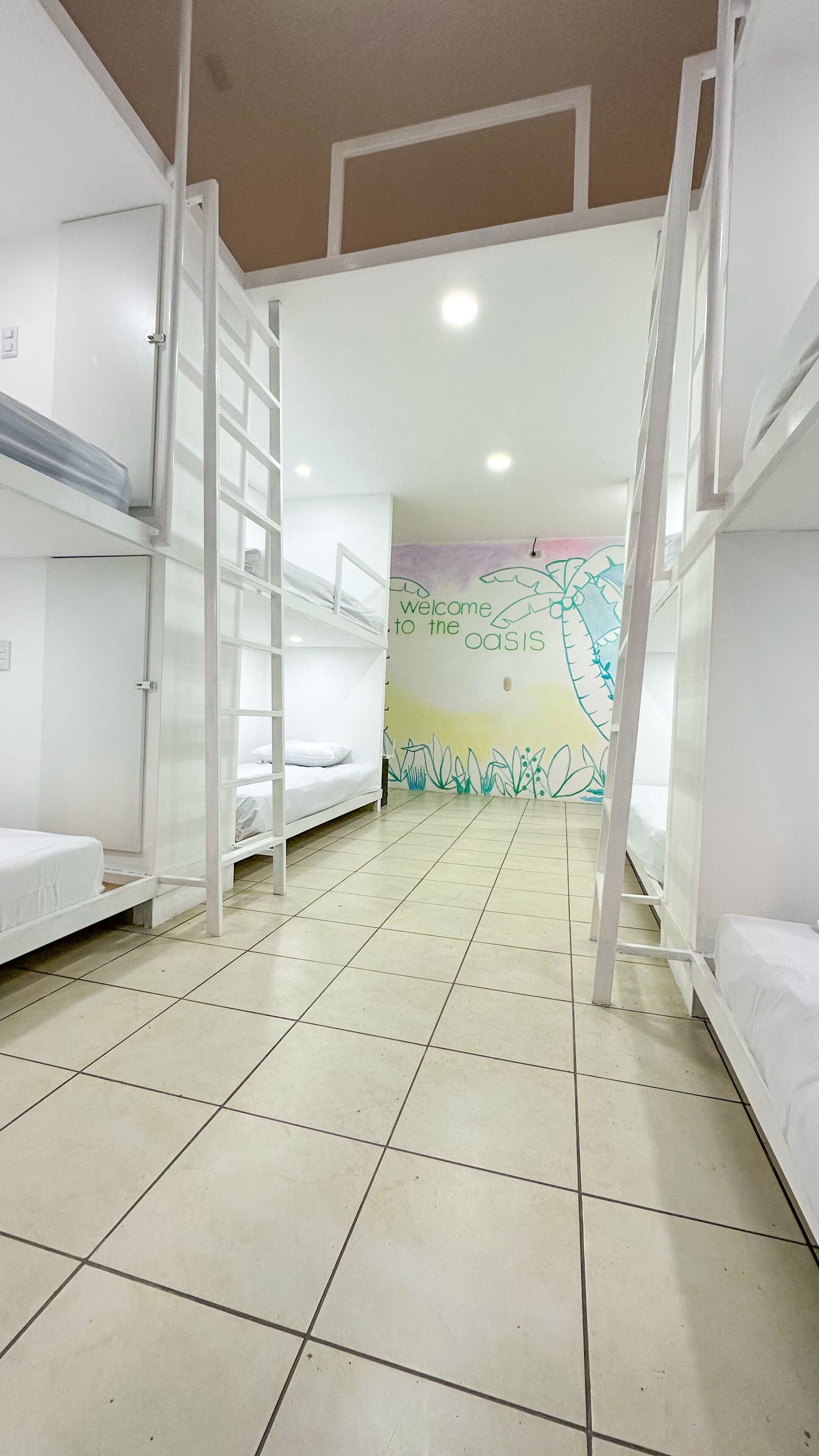 Photo - SJO Oasis Hostel
