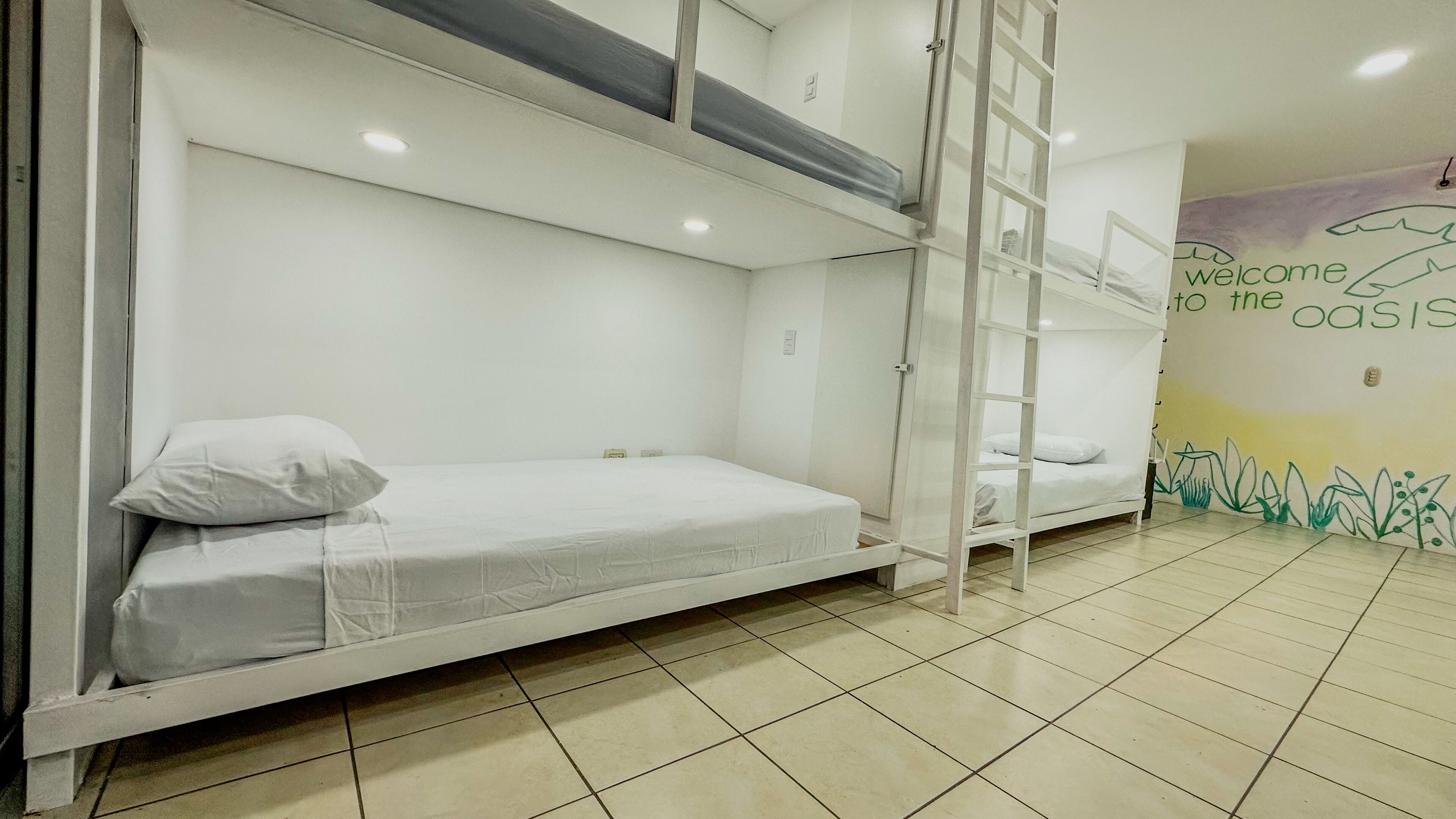 Photo - SJO Oasis Hostel